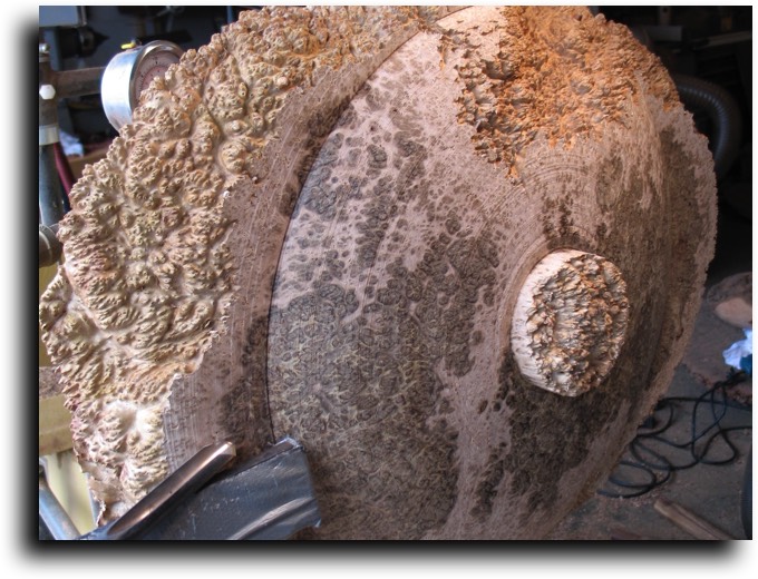 AustralianBurls.com - Woodworking Tips