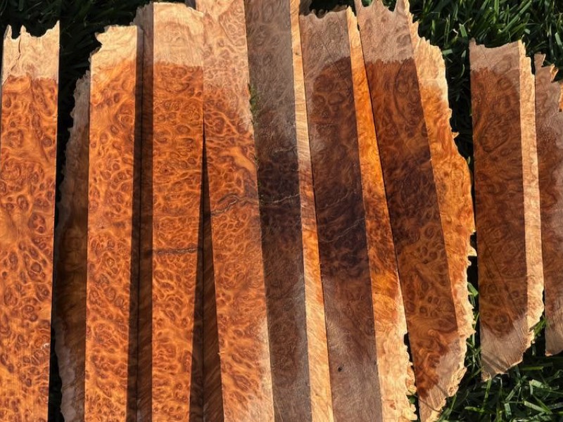 Stacks Image 8340