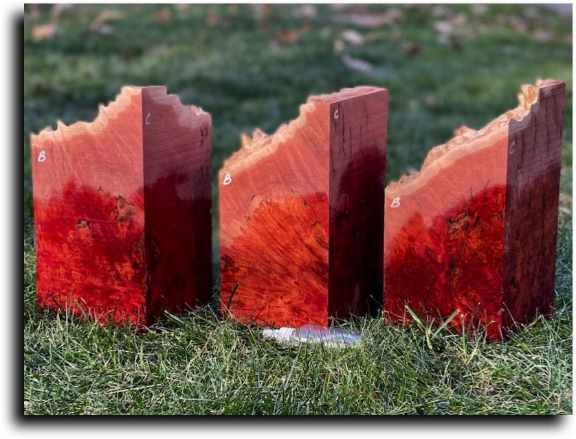 Stacks Image 8794