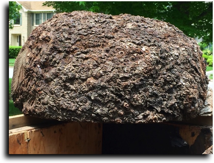 AustralianBurls.com Products - Non-Aussie Burls (Claro Walnut Burl) © 2018 Jim Syvertsen